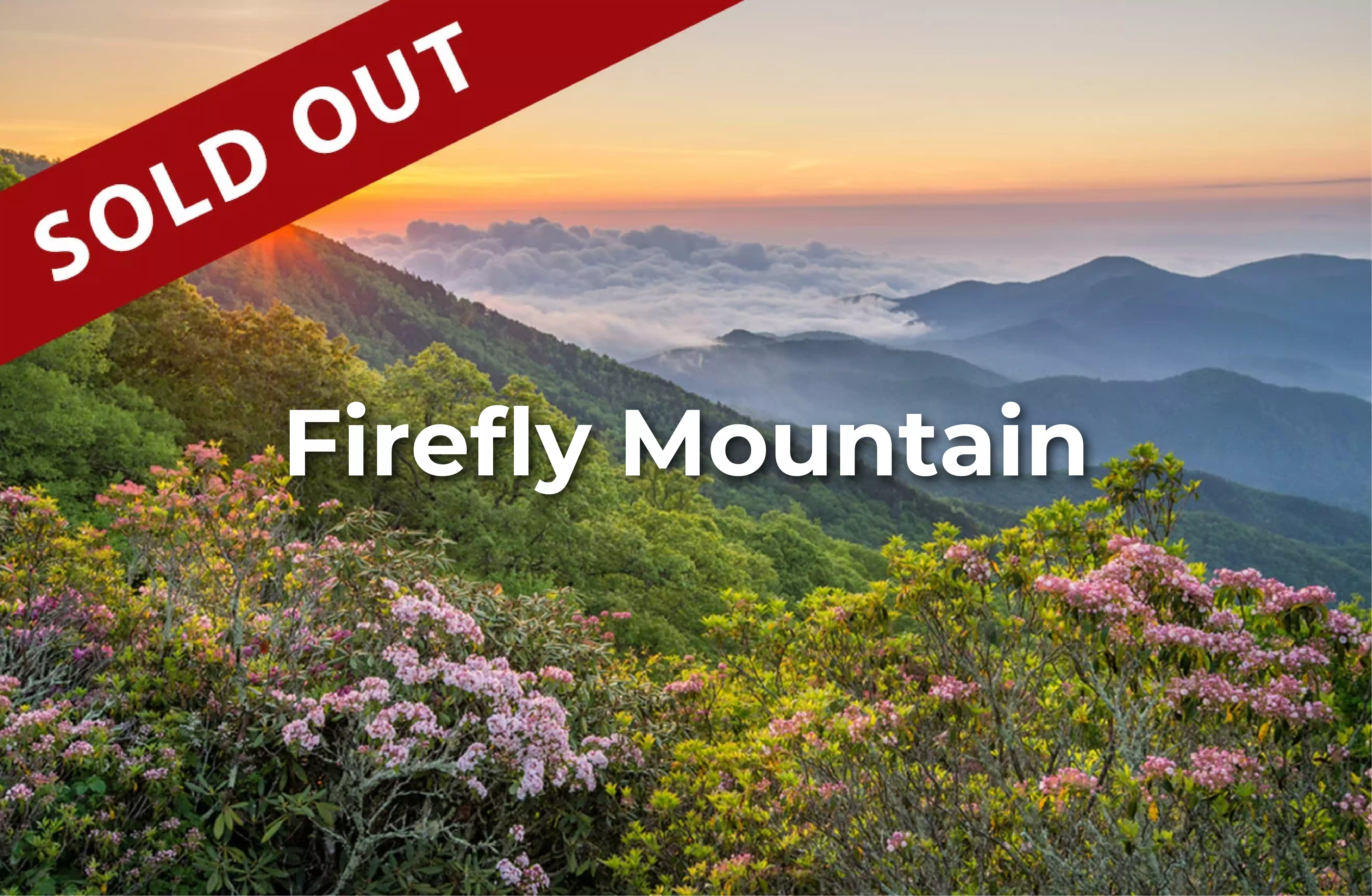 firefly_mountain